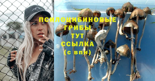 MDMA Лагань
