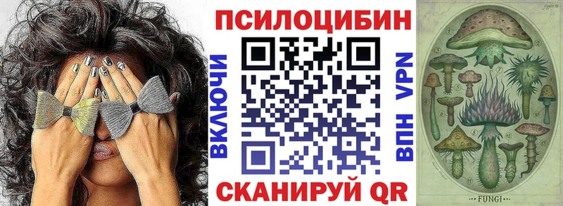 Псилоцибиновые грибы MAGIC MUSHROOMS  кракен маркетплейс  Сясьстрой 