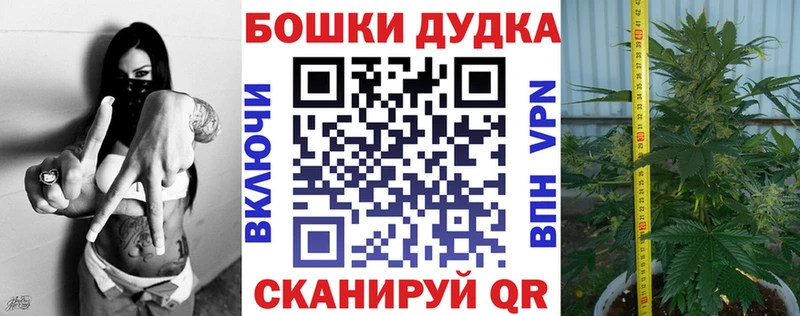 маркетплейс какой сайт omg ссылки Сясьстрой Канабис OG Kush